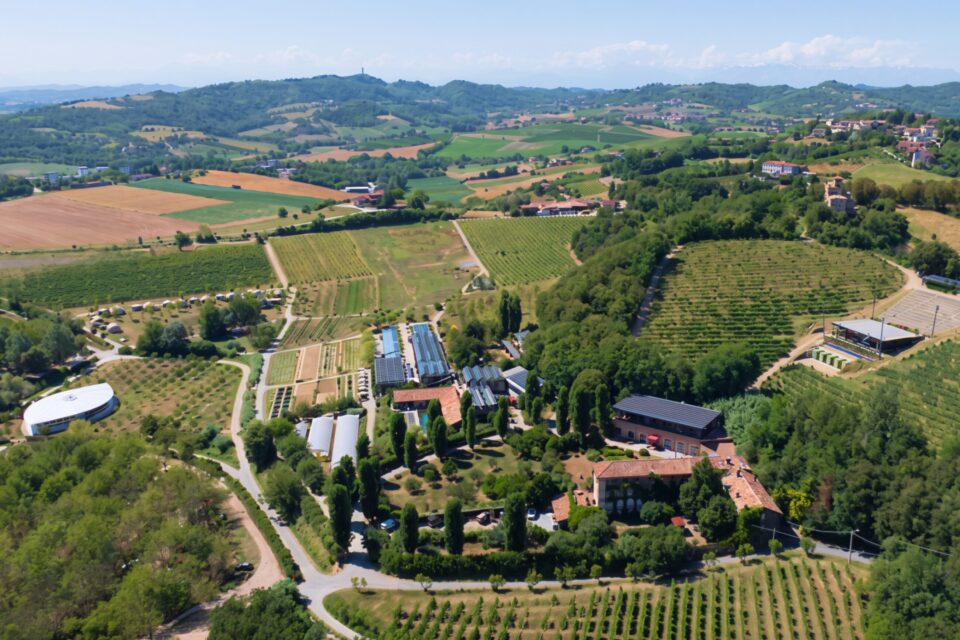 Orsolina28